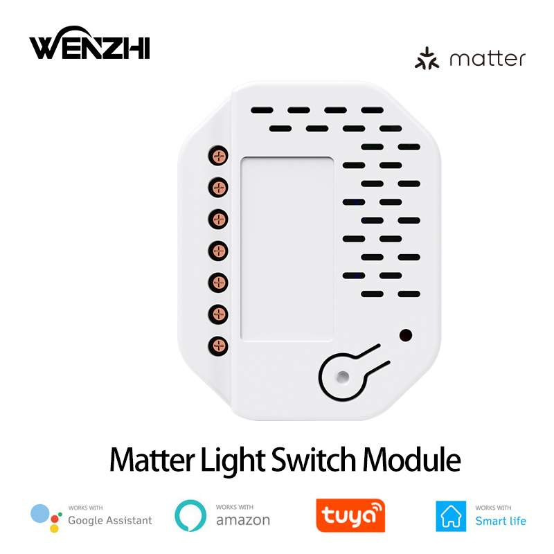 Modul Saklar Lampu Matter 2Gan - Smart Relay Tuya ulasan dan harga
